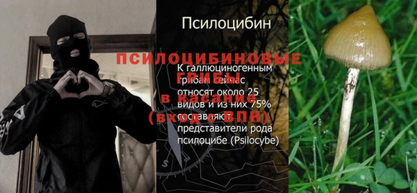 spice Абинск