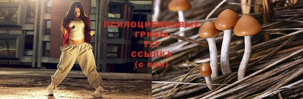 spice Абинск