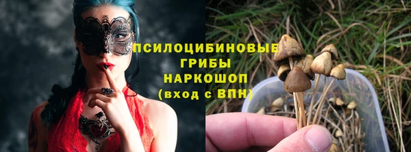 spice Абинск